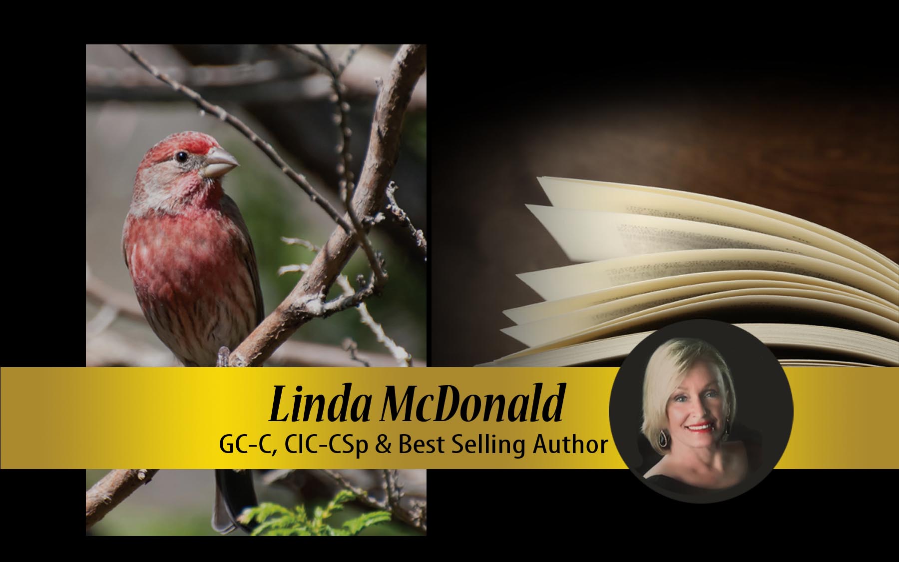 Linda McDonald GC-C, CIC-CSp & Author